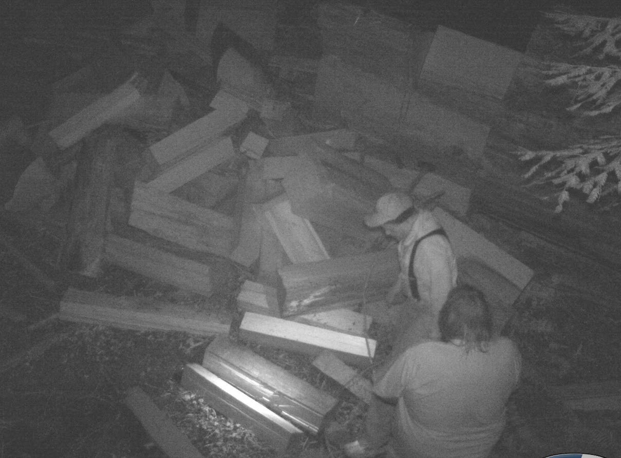 Humboldt Redwoods State Park surveillance video of poachers. Humboldt Redwoods State Park surveillance video of poachers.